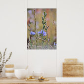 Enkelvoudige Paarse wilde bloem Poster (Keuken)
