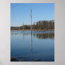 Enkelvoudige reflectie poster