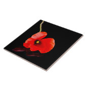 Enkelvoudige rode papaver op zwart tegeltje (Zijkant)