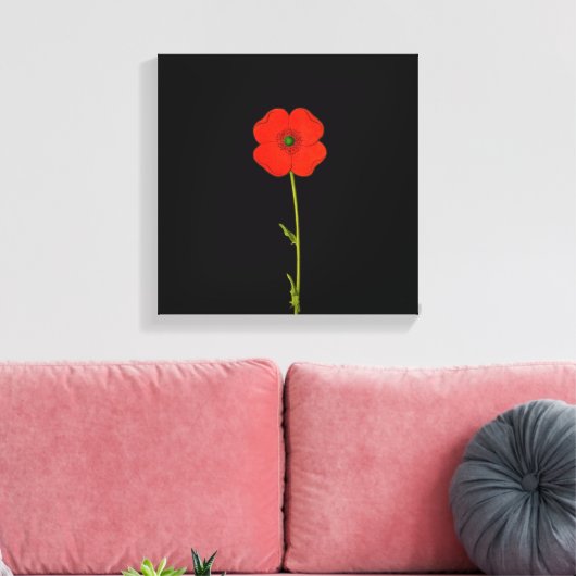 Enkelvoudige rode papaverbloem op doek canvas afdruk (Insitu (Woonkamer))