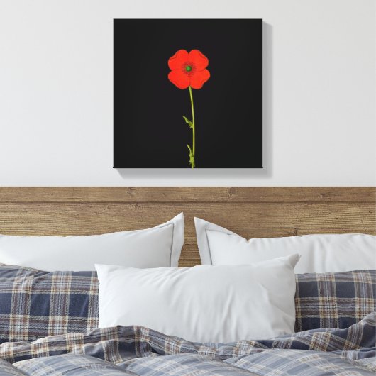 Enkelvoudige rode papaverbloem op doek canvas afdruk (Insitu (Slaapkamer))