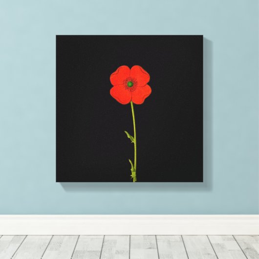 Enkelvoudige rode papaverbloem op doek canvas afdruk (Insitu (Houten vloer))