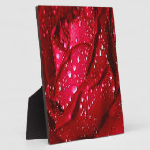 Enkelvoudige Rode Rom in de regen Fotoplaat (Zijkant)