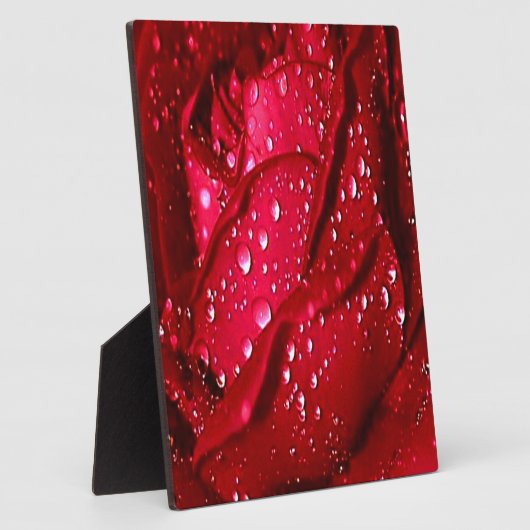 Enkelvoudige Rode Rom in de regen Fotoplaat (Zijkant)