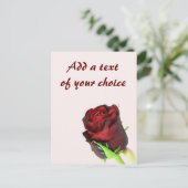 Enkelvoudige rode roos op een lichtroze achtergron briefkaart (Staand voorkant)