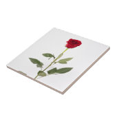 Enkelvoudige rode rozentegel tegeltje (Zijkant)