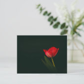 Enkelvoudige rode tulp briefkaart (Staand voorkant)