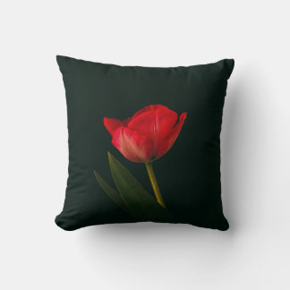 Enkelvoudige rode tulp kussen