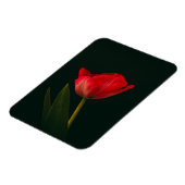 Enkelvoudige rode tulp magneet (Linkerzijde)