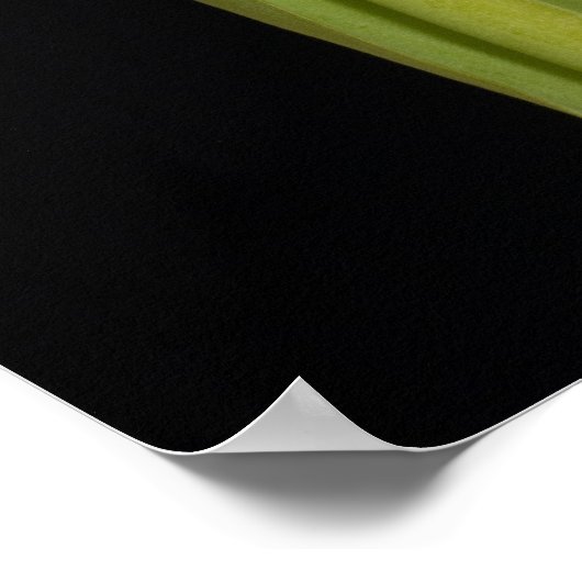 Enkelvoudige rode tulp op zwarte achtergrond poster (Hoek)