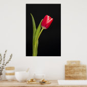 Enkelvoudige rode tulp op zwarte achtergrond poster (Keuken)