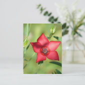 Enkelvoudige rode ventilator op groen briefkaart (Staand voorkant)