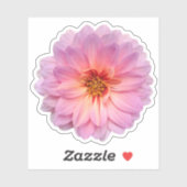 Enkelvoudige roze en Paarse Zinnia Flower Sticker (Vel)