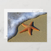 Enkelvoudige Starfish op strand Briefkaart (Voorkant / Achterkant)