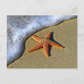 Enkelvoudige Starfish op strand Briefkaart (Voorkant)