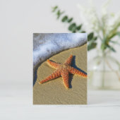 Enkelvoudige Starfish op strand Briefkaart (Staand voorkant)