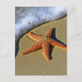Enkelvoudige Starfish op strand Briefkaart (Voorkant)