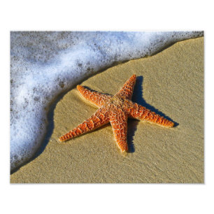 Enkelvoudige Starfish op strand Foto Afdruk