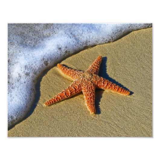 Enkelvoudige Starfish op strand Foto Afdruk (Voorkant)