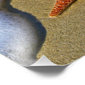 Enkelvoudige Starfish op strand Foto Afdruk (Hoek)