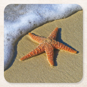 Enkelvoudige Starfish op strand Kartonnen Onderzetters