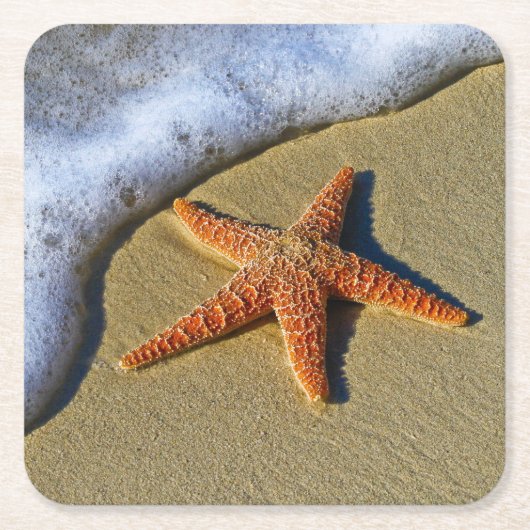 Enkelvoudige Starfish op strand Kartonnen Onderzetters (Voorkant)