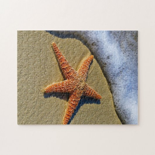 Enkelvoudige Starfish op strand Legpuzzel (Horizontaal)