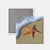 Enkelvoudige Starfish op strand Magneet (Voorkant / Achterkant)