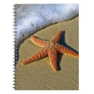 Enkelvoudige Starfish op strand Notitieboek