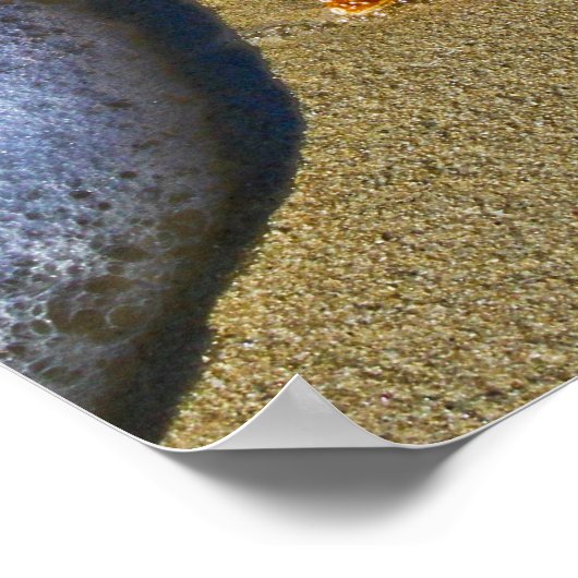 Enkelvoudige Starfish op strand Poster (Hoek)