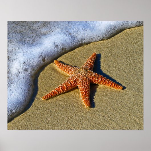 Enkelvoudige Starfish op strand Poster (Voorkant)