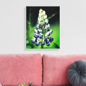 Enkelvoudige wilde Paarse luifwerper Canvas Afdruk (Insitu (Woonkamer))