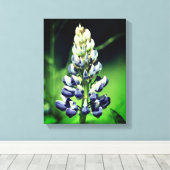 Enkelvoudige wilde Paarse luifwerper Canvas Afdruk (Insitu (Houten vloer))