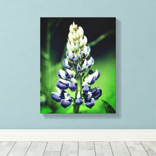 Enkelvoudige wilde Paarse luifwerper Canvas Afdruk (Insitu (Houten vloer))