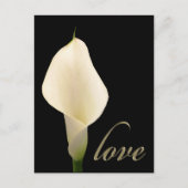 Enkelvoudige witte calla lib briefkaart (Voorkant)