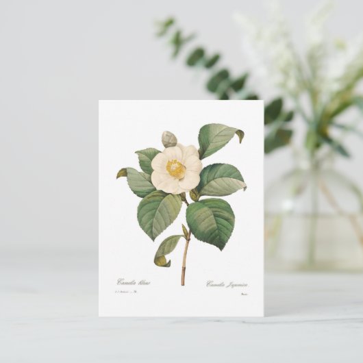 Enkelvoudige witte camellia briefkaart (Staand voorkant)