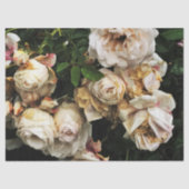 Enkelwitte Rose Tissuepapier (Voorkant)