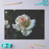 Enkelwitte Rose Tissuepapier (Craft)