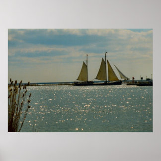 Enkhuizen, traditionele boten op het Ijselmeer Poster