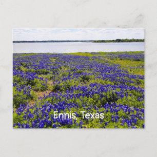 Ennis Bluebonnets door Lake Bardwell Briefkaart