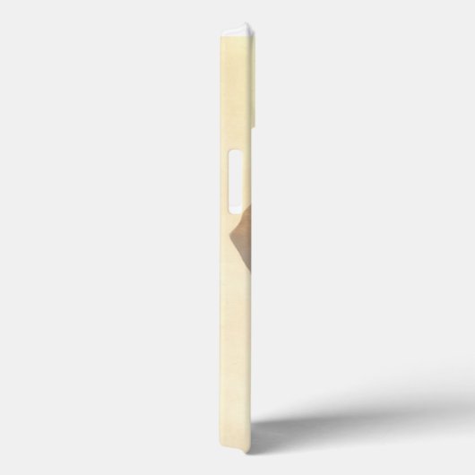 Enniskerry County Wicklow Ireland iPad case (Achterkant / Rechts)