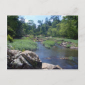 Eno River, North Carolina Briefkaart (Voorkant)