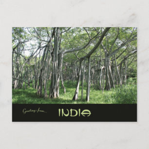 Enorme Banyan Tree Chennai Tamil Nadu India Briefkaart