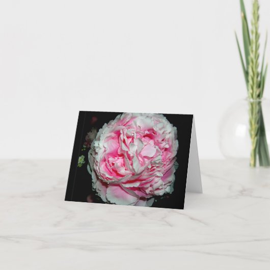 Enorme Flower NoteCards Feestdagen Kaart (Voorkant)