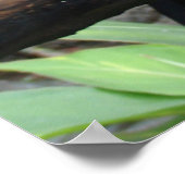 Enorme foto van een mooie touroperator! poster (Hoek)