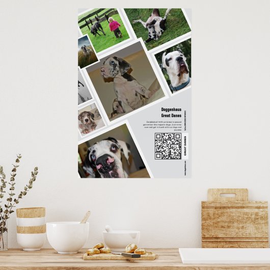 Enorme Great Dane Fokkerij Promotie Poster (Keuken)