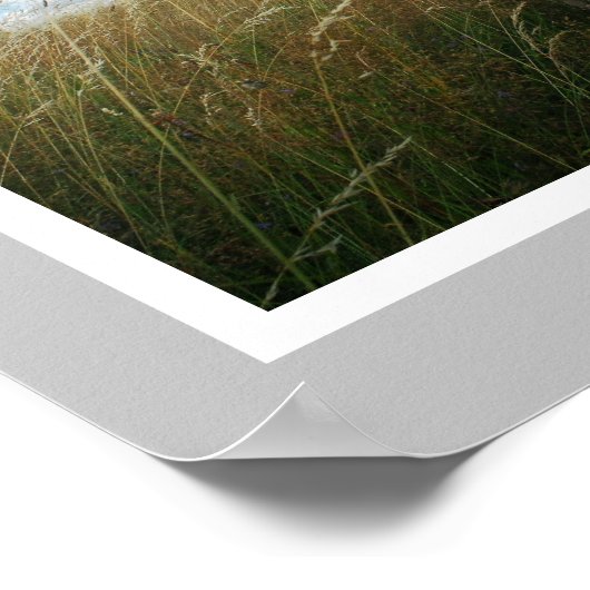 Enorme Great Dane Pup te koop Poster (Hoek)