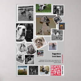 Enorme Great Dane Puppy te koop Poster