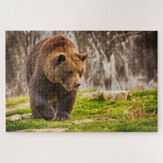 Enorme Grizzlybeer In Het Wilde Dier Legpuzzel (Horizontaal)