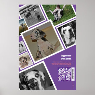 Enorme hond te koop poster